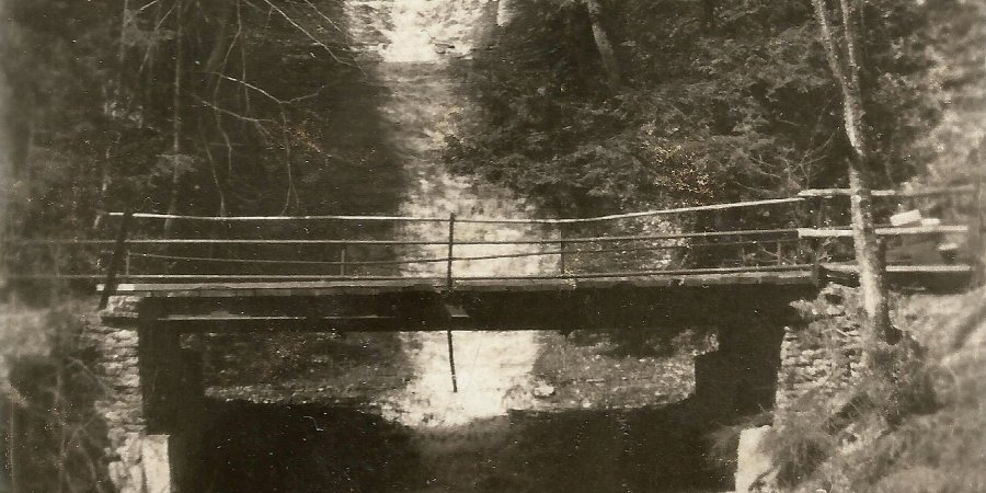 Buttermilk Falls on North Otto Road, Zoar Valley c1910