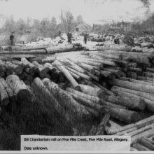 Chamberlain Mill  on Five Mile Creek