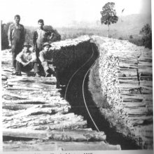 wood yard at a Red House chemical factory