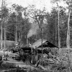 George Davis Sawmill - Tug Hill Road, New Albion - c1895