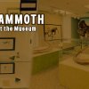 Mammoth at the Museum: A Display of local artifacts and fossils